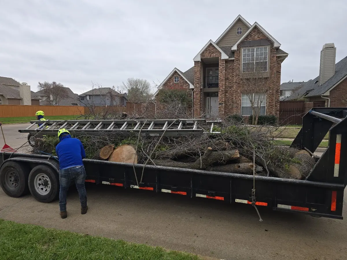 Expert Lot Clearing with proper safety equipment in Force